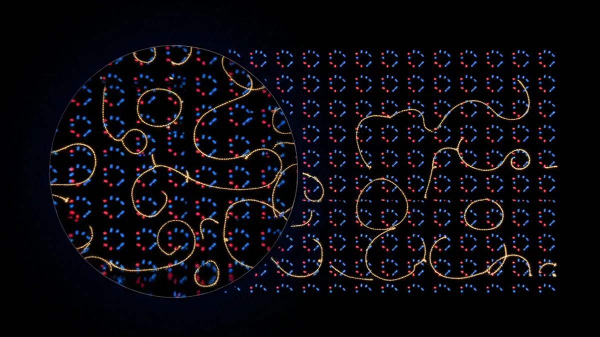 蟑螂路詳解：微觀級別的紅藍斜線與圓圈圖案，放大鏡效果顯示關鍵模式